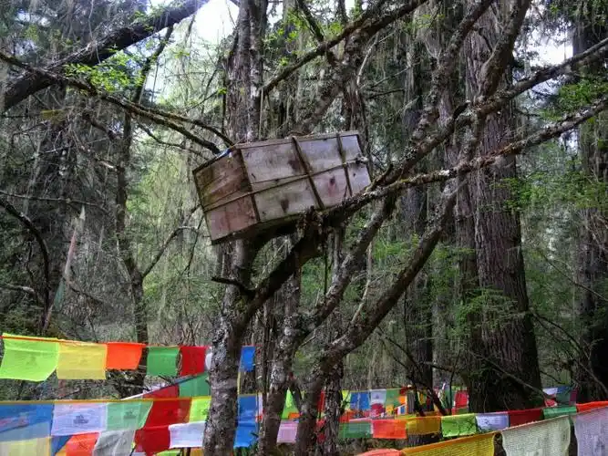 卓龙沟探奇,揭秘西藏族奇特神秘的丧葬习俗……树葬