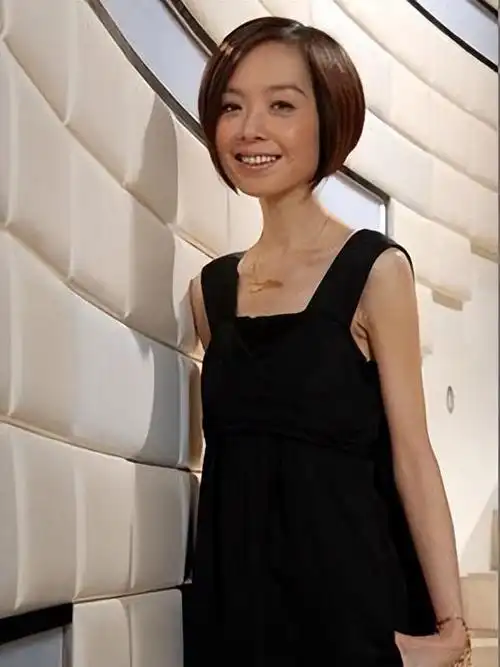 鲁豫走过半生归来仍是一人两段婚姻孩子是她最大的遗憾