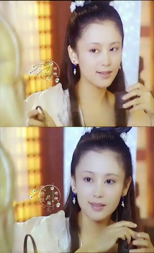 春光灿烂猪八戒嫦娥陈红