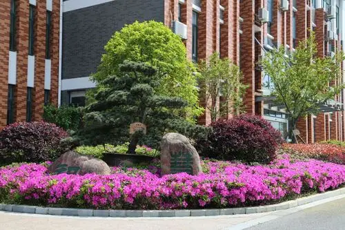 我喜爱的校园一角