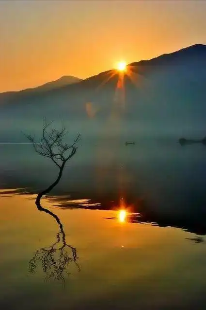 放空心灵的摄影,影中复影,太震撼了!