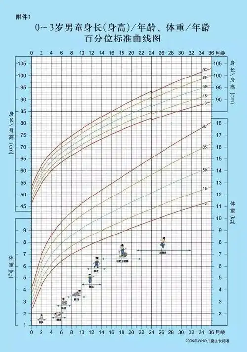 只要宝宝的发育曲线和标准的生长曲线,上升变化的趋势是一致的,而且