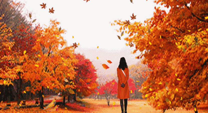 其它 中华题图鉴赏(第466期) 写美篇《五绝》秋景 文/怡然 落叶舞长空