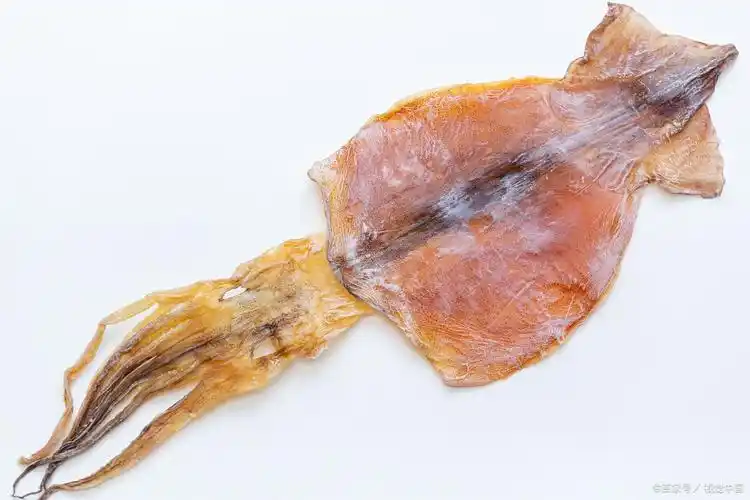 墨鱼干和鱿鱼干的区别,外表相似,在外观,口感和营养方面有不同