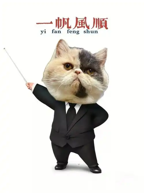 加菲猫泡芙一幅老板做派哈哈哈哈