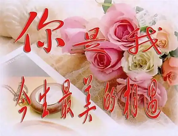 你在我心里 - 雪的世界 - 你是我今生无与伦比的美丽