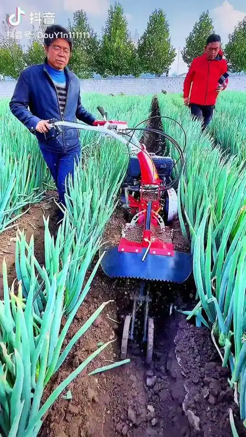 开沟培土机大葱种植一机多用省时省力省人工三农抖音助农农民种地不