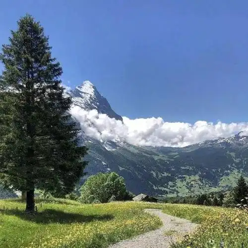 朋友圈背景图816