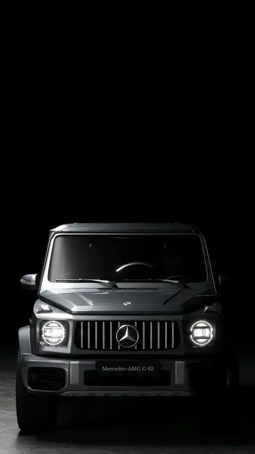 【图】大g外观线条硬朗,力量感肌肉感非常的强烈_奔驰g级论坛_汽车之