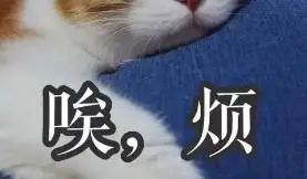 人,都会有心情不好的时候,说不上来的失落,道不明白的难过,理不清楚的