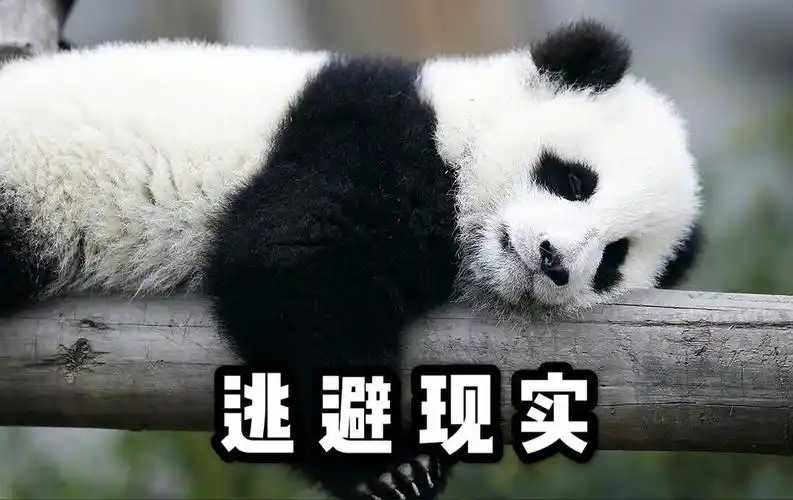 我觉得对一个人的爱是会慢慢消失的.我对我婧外担的爱好像在.