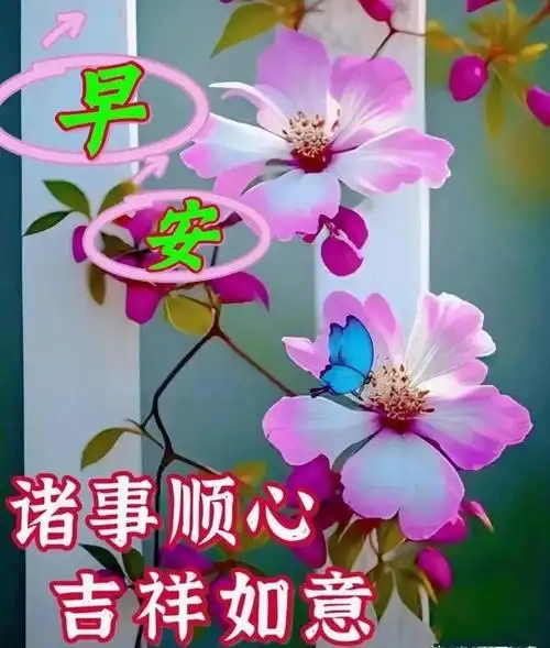 1. 早安,愿你今天一切顺利,心情愉快,身体健康.