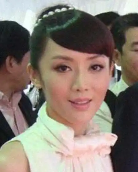 艾慧 简历 - 名人简历