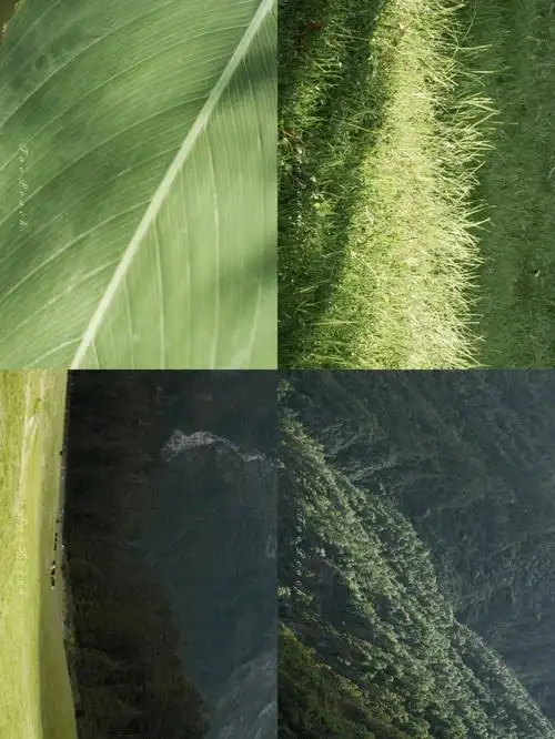 调色教程手机黄绿色调调色教程