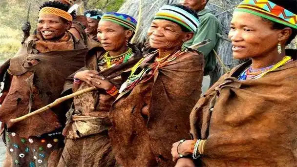 布须曼人是非洲的一个部落,拥有在荒漠中寻找水源的独特能力