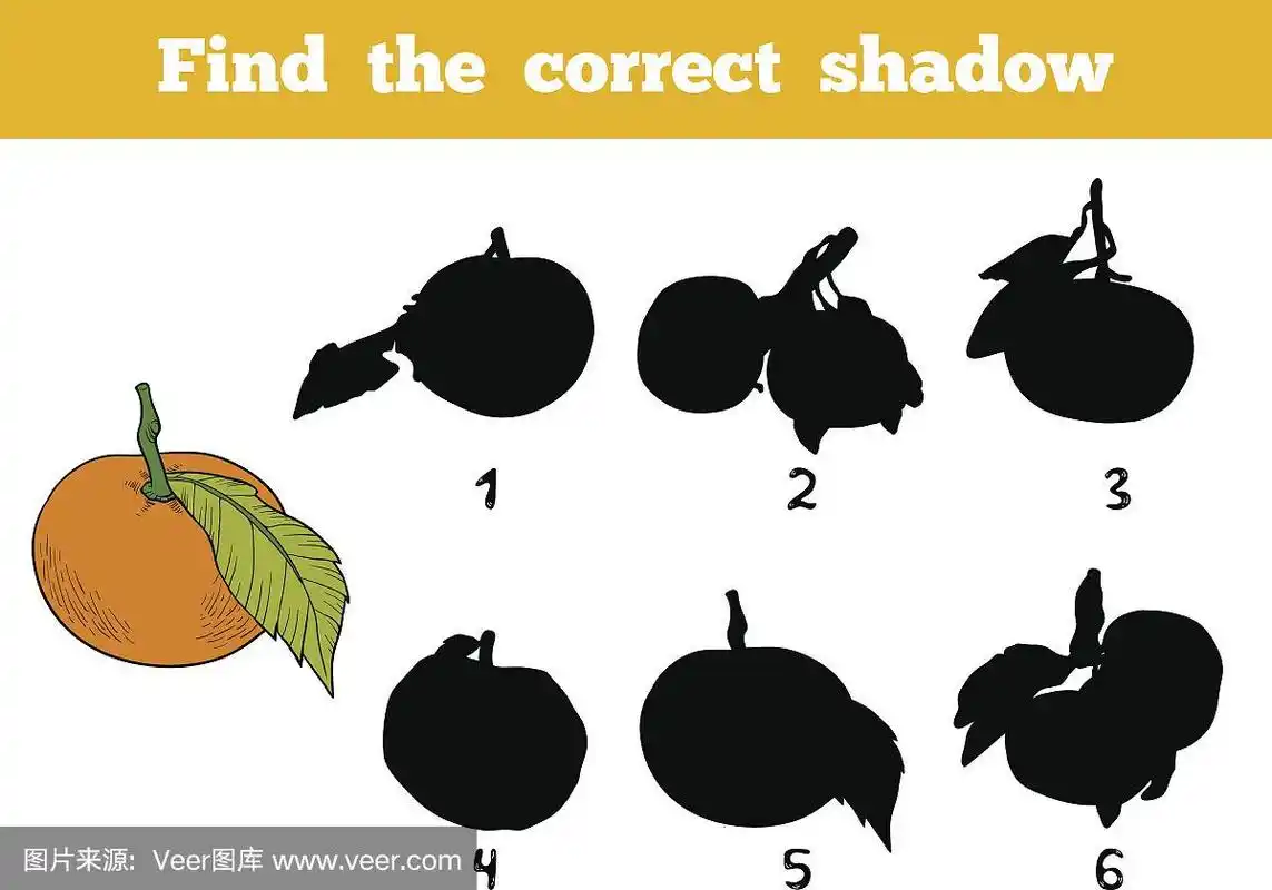 橙子,阴影,水果,矢量,彩色图片