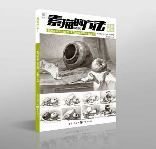 组合静物素描零基础绘画入门教程结构步骤书素描基础入门套系图解基础