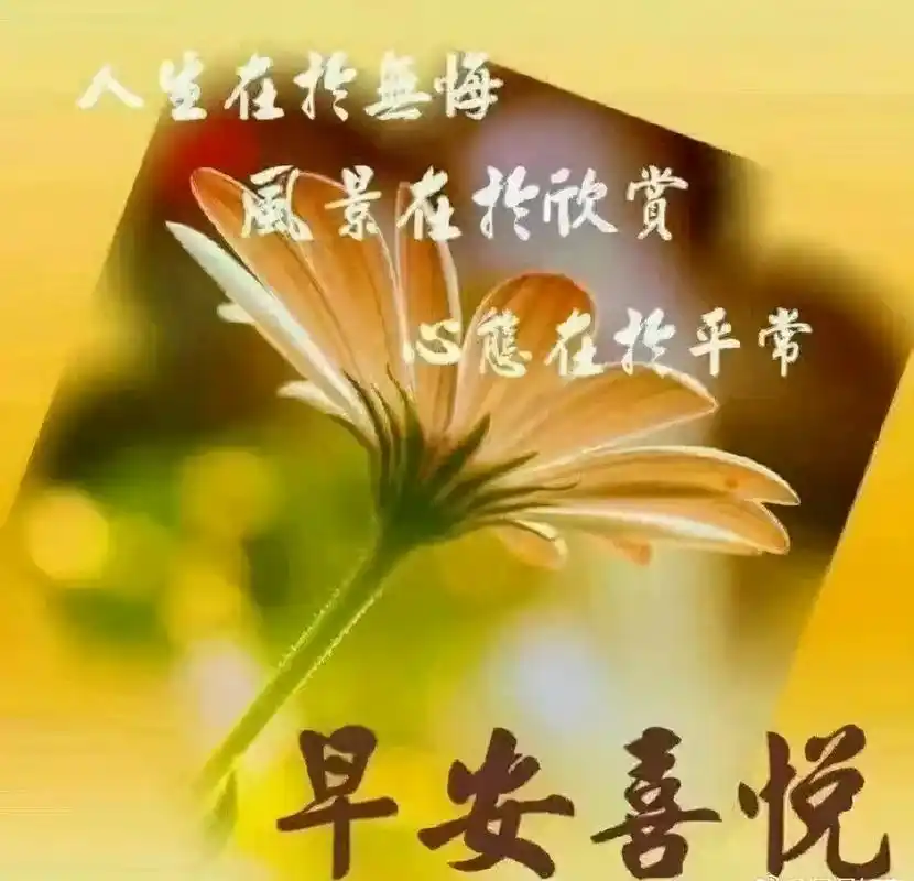 周五清晨最暖心的早安祝福问候话,漂亮的早上好问候祝福语短信