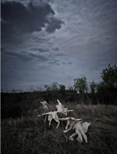 2020央美毕业季丨"彼时·此时"艺术青年第二期:"物时·心时"