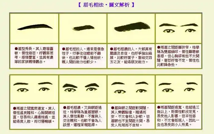 男人眉毛看相图解