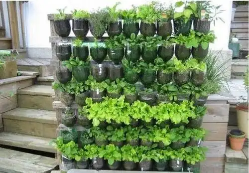 "它"是天然的花盆,喝完饮料"瓶子"留下,教你做一面花墙