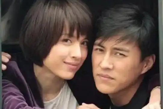 《秋雨》,《温州一家人》,《惊天雷》,《伪装者》,《我的前半生》等