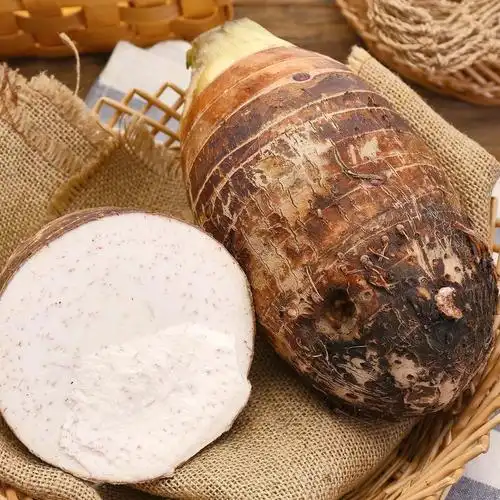 绿环园广西荔浦大芋头单枚装 3斤