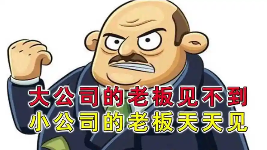 为何小公司老板天天见大公司老板几乎看不到这才是真实原因