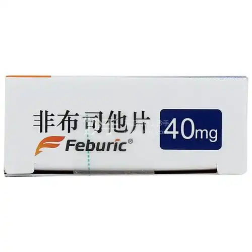 菲布力非布司他片40mg14片