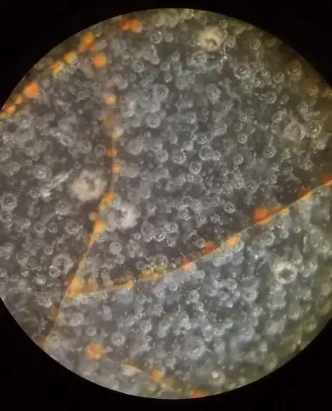 宋代官窑瓷器浅探补充版