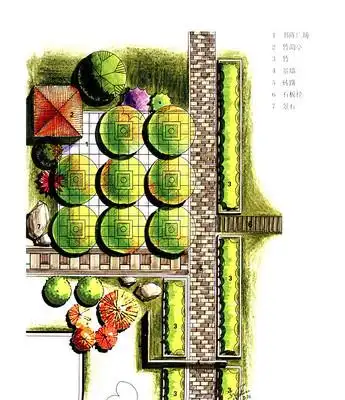 树阵广场手绘效果图