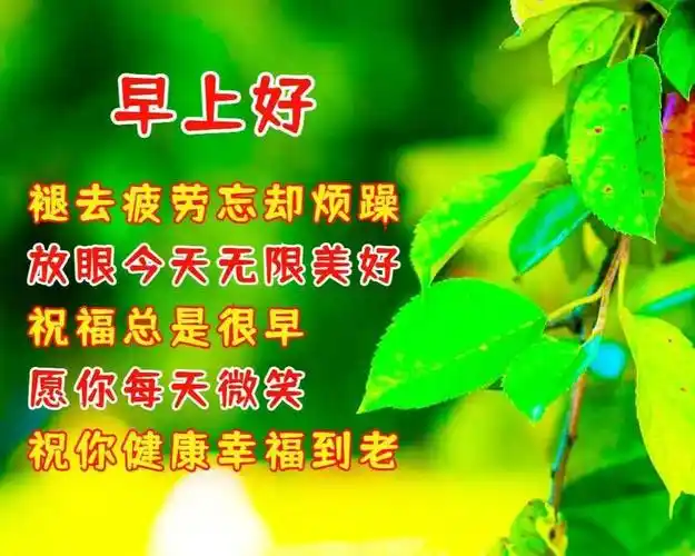 超暖心早上好祝福问候语图片 朋友圈早安问候语句送朋友_友谊_平安