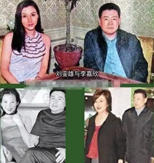 与刘銮雄痴缠10年,却嫁给许晋亨,李嘉欣的执念和底线都离不开钱