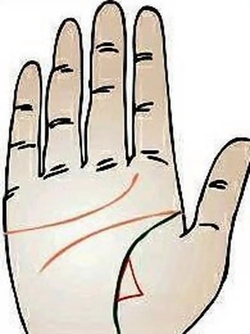 【生命线上有三角纹】 1,生命线上有三角纹,二者有重叠,代表这类手相