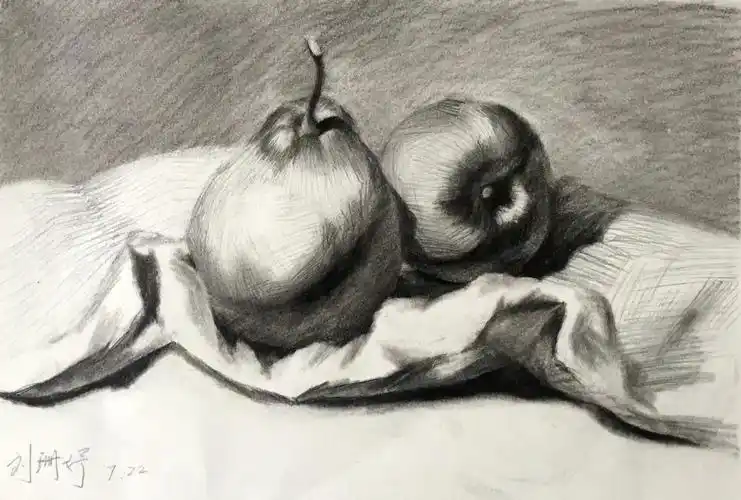 素描静物#     梨子,苹果组合