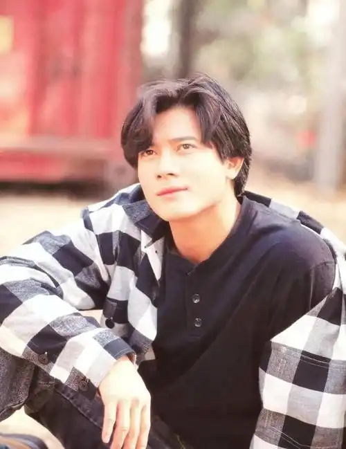 香港四大天王,是指20世纪90年代香港四位最受欢迎的男歌星,分别是:张