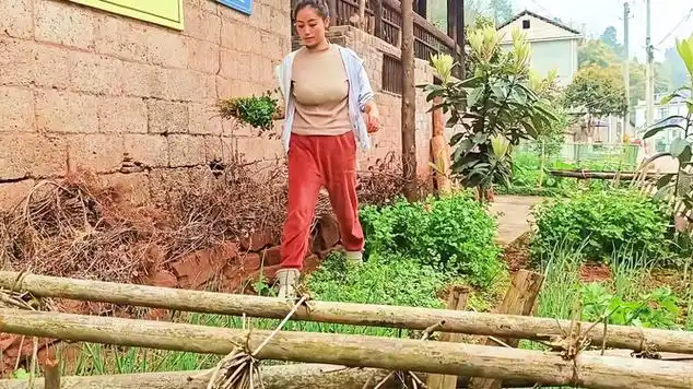 农村大龄剩女留家生活,凉拌香菜配白米饭,清贫生活乐在其中|农村美食