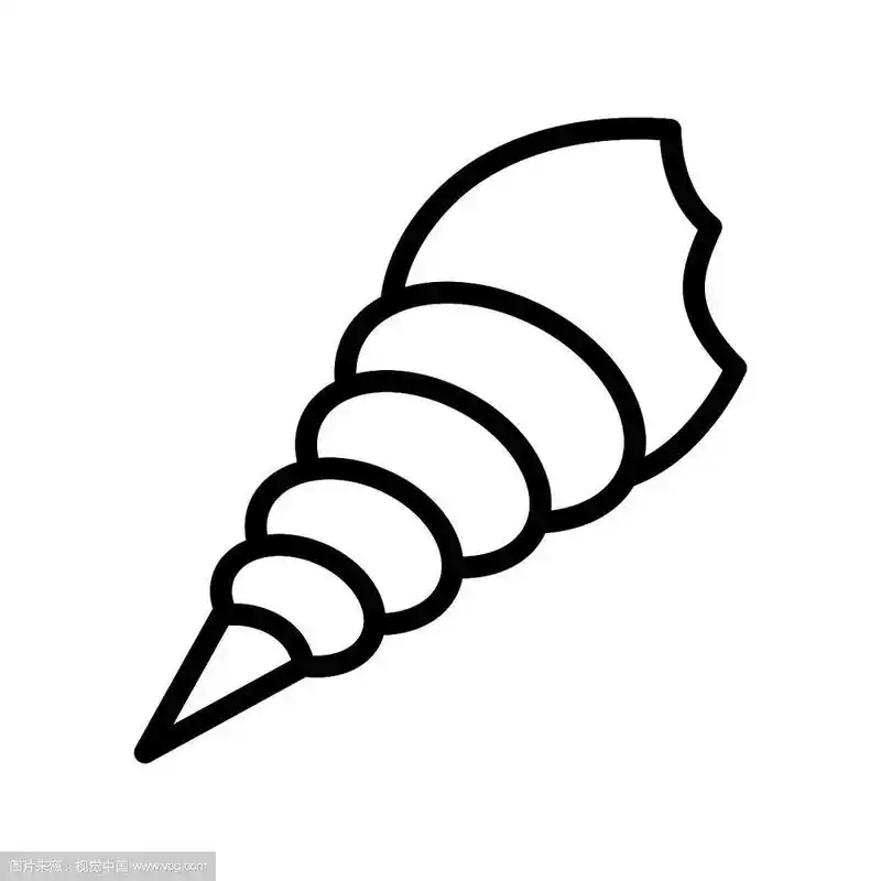 贝壳热带相关线条样式图标