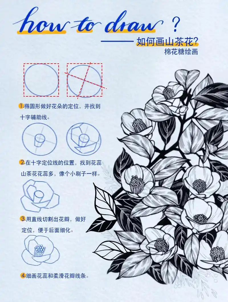 如何画山茶花|线描教程|绘画系列.#procreate绘画  - 抖音