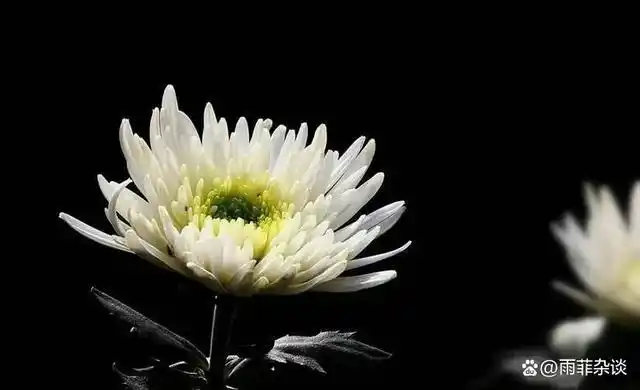 人去世后,哪些东西不能随着遗体一起火化?为何会有这样的规定?