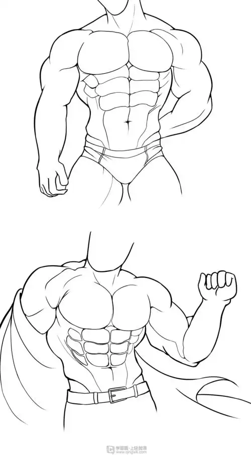 临摹男性肌肉—角色人物肌肉绘画训练