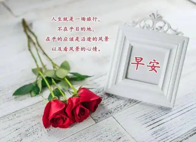 最能打动人心的早安问候每天在群里发早安问候的句子