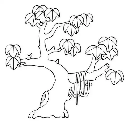 枫树简笔画 - 简单简笔画