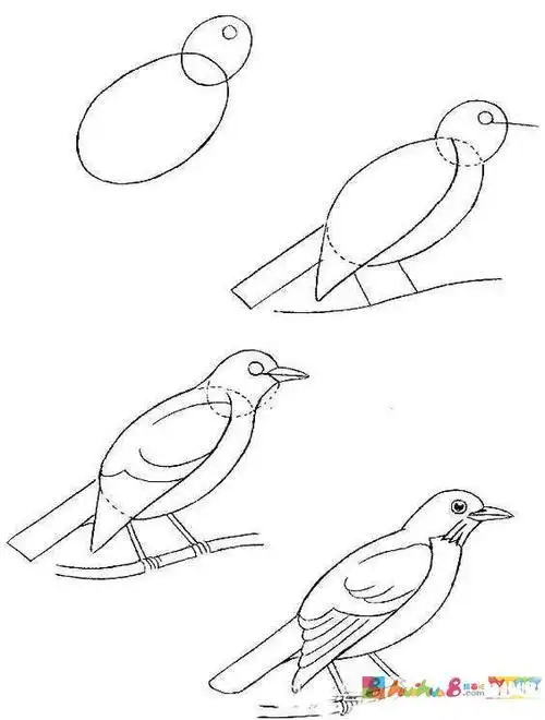 各种鸟儿的简笔画步骤图片教程