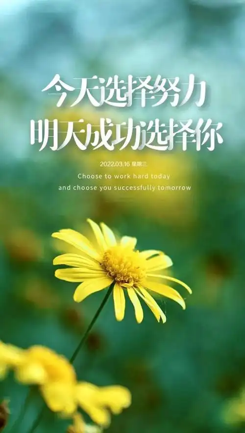 正能量的句子经典语句图片早安