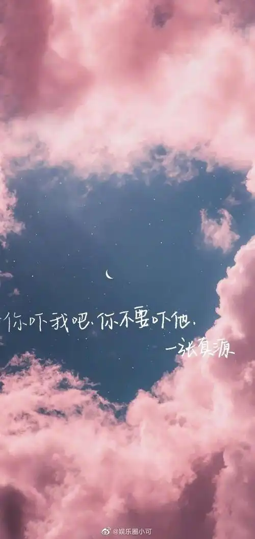 张真源语录合集