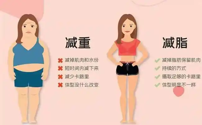 什么样的运动减脂效果更好有氧运动和无氧运动如何安排