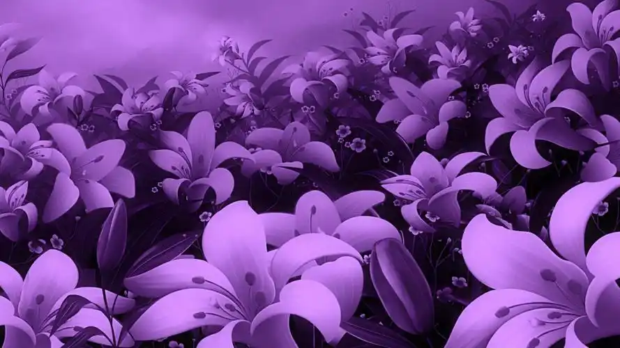 beautiful purple flowers wallpaper