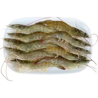 对虾新鲜鲜活冷冻潮汕水产白刺白虾