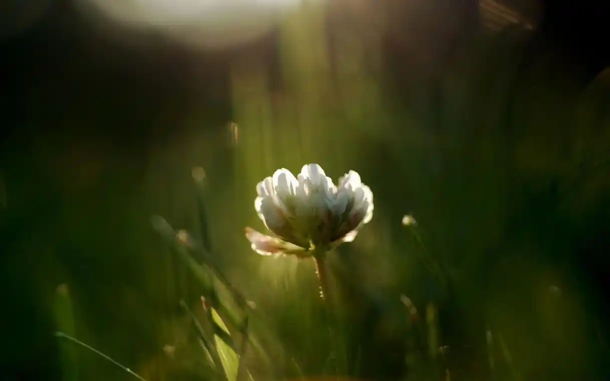 让男人记挂一生的,往往是给过他这些感觉的女人